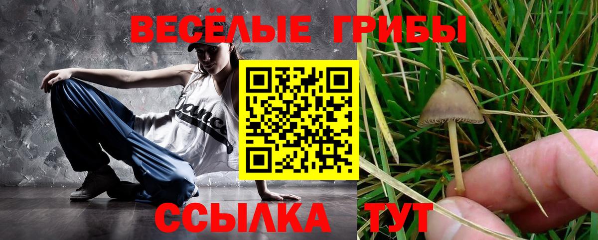 Галлюциногенные грибы прущие грибы Чехов