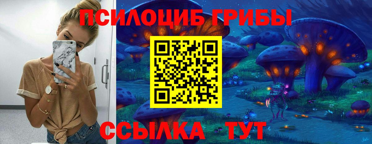 Чехов  Галлюциногенные грибы GOLDEN TEACHER  Вход с VPN 